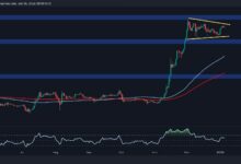 تحليل سعر ريبل: ماذا ينتظر XRP بعد ارتفاع أسبوعي بنسبة 8%؟ اكتشف الآن!