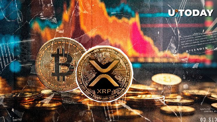 تصفيات بقيمة 250 مليون دولار: بيتكوين و XRP يقودان مجزرة السوق الهابطة! اقرأ التفاصيل!