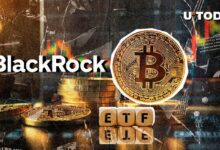 صندوق Bitcoin ETF من بلاك روك يجمع 527 مليون دولار مع توقعات بارتفاع BTC إلى 103,000 دولار - اكتشف المزيد!