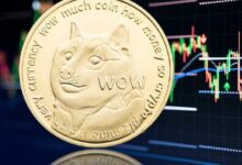 محللون: دوجكوين وصناديق ترامب المتداولة قد تصل بحلول أبريل - اكتشف التفاصيل!