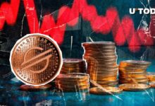 شبكة ستيلر (XLM) تشهد انخفاضاً بنسبة 50% في النشاط - هل انتهز الفرصة للتعرف على السبب الحقيقي؟