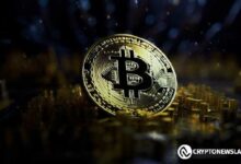 روبرت كيوساكي يتوقع ارتفاع قيمة البيتكوين بين 175 ألف و350 ألف دولار - اكتشف التفاصيل!