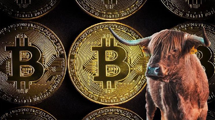 محلل خبير يقول: "الفيدرالي قد يدفع البيتكوين لأعلى مستوى قياسي جديد!" اكتشف كيف!