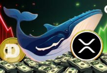 تحليل نشاط الحيتان، إشارات الشراء، ومخاطر التصفية: اقترب أكثر من $XRP و$DOGE والمزيد!