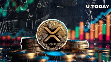 ريبل XRP يتفوق على الجميع: 2.2 مليون معاملة - اكتشف المزيد!