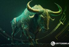 إيلون ماسك يعزز DOGE: هل يستفيد ترامب من نفوذ دونالد ترامب؟ اكتشف التفاصيل!