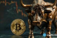 البيتكوين يظل "ملاذًا آمنًا" رغم استمرار مخاوف DeepSeek: تصريحات الرئيس التنفيذي لشركة deVere – اكتشف المزيد الآن