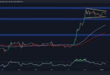 ما هي الخطوة التالية لـ XRP بعد انهيار السوق؟ تحليل سعر ريبل - اكتشف المزيد!