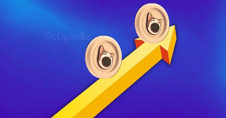 انطلاقة لعملة POPCAT! عملة الميم تتطلع إلى ارتفاع بنسبة 25% لـ $1.10 - اكتشف الآن!