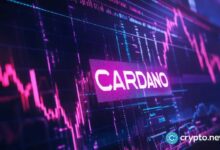 3 أسباب قد تؤدي إلى ارتفاع سعر كاردانو بنسبة 50% قريبًا، اكتشف المزيد!