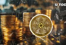 كاردانو (ADA) على المحك: هل سيحدث ارتفاع بنسبة 36% أم انخفاض بنسبة 9%؟ اكتشف توقعات الأسعار
