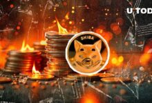 حرق عملة شيبا SHIB يرتفع بنسبة 2,221%، اكتشف ما يحدث!