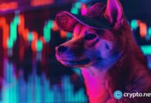 سعر WIF ينخفض، حوت يشتري الانخفاض، احتياطيات CEX تتراجع، المخاطر مستمرة - اكتشف المزيد!