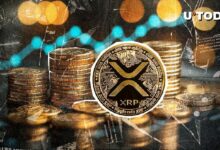عملة XRP تتجاوز 3 دولارات مجددًا، هل القمة التاريخية هي المحطة التالية؟ اكتشف الآن!