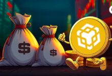 استطلاع بينانس يكشف عن مكاسب وخسائر BNB وانقسام السوق