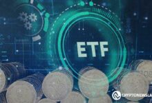 صناديق بيتكوين الفورية الأمريكية تتجاوز 125 مليار دولار وتحتفظ بأكثر من 6٪ من إجمالي عرض البيتكوين - اكتشف التفاصيل الآن!