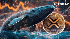 لا يهم حيتان XRP تراجع بنسبة 40٪: اكتشف المزيد في بلوكشين XRP