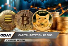 سولانا (SOL): أسوأ انخفاض في 3 سنوات، هل الدولار الأمريكي سيدمر بيتكوين (BTC)؟ هل تعافي شيبا إينو (SHIB) ممكن؟ اكتشف التفاصيل الآن!