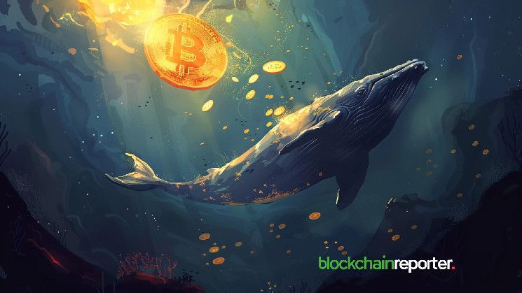 حوت البيتكوين ينقل 1,100 $BTC إلى باينانس بعد تحقيق ربح قدره 86.9 مليون دولار - اكتشف التفاصيل!