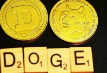 لماذا انخفض سعر دوجكوين اليوم؟ اكتشف سبب تراجع DOGE بنسبة 13٪ مع ضعف معنويات السوق!