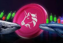 سعر Uniswap يظل ثابتًا مع شراء الحيتان عند الانخفاض – هل الوجهة التالية هي 10 دولارات؟