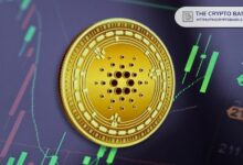 ارتفاع نشاط شبكة كاردانو: هل تكون قيمة $0.85 هي المحطة القادمة؟ اكتشف الآن!