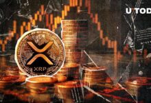 هبوط XRP تحت 3 دولارات بعد بيع كبير بقيمة 539 مليون دولار، ماذا سيحدث بعد ذلك؟ اقرأ المزيد!