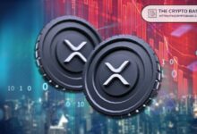 اكتشف عدد محافظ XRP التي أضافت 1,000,000 XRP بعد التراجع الأخير