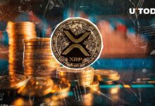 انخفاض محتمل لـXRP: هل التاريخ سيعيد نفسه؟ اكتشف التفاصيل!