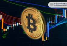 البيتكوين عالقة عند 98 ألف دولار: هل يمكن لتدفق السيولة الإيجابي رفع BTC إلى 103 آلاف دولار؟ اكتشف الآن!