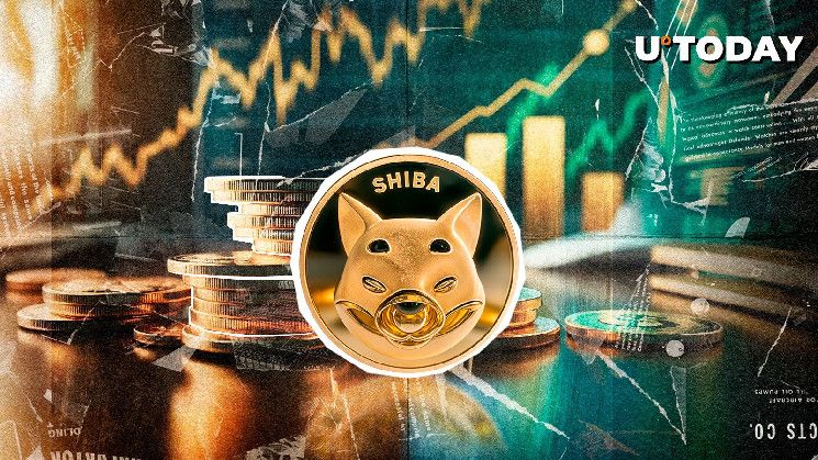 ارتفاع مذهل بنسبة 5,277% في تدفق شبكة شيبا إينو؛ هل يقترب انعكاس السعر؟ اكتشف التفاصيل الآن!