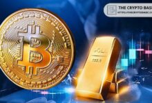 هل تراجع نشاط معاملات البيتكوين إلى أدنى مستوى منذ مارس 2024 دليل على قوة الذهب الرقمي؟ اكتشف الآن!