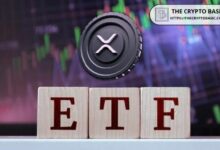 محلل بلومبرج يكشف العوامل التي قد تؤجل الموافقة على ETF لـ XRP - اكتشف التفاصيل الآن