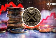 شبكة XRP تشهد تراجعاً هائلاً بنسبة 50% مع اختفاء 101,081 عنواناً نشطاً - اكتشف الأسباب الآن!