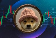 محللون يتوقعون وصول سعر Dogwifhat إلى 0.5 دولار مع كسر البائعين لتجمع استمر 11 شهرًا - اكتشف التفاصيل الآن!