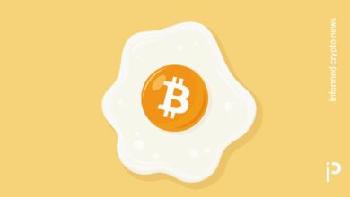 ارتفاع أسعار البيض أسرع من البيتكوين في عهد ترامب - اكتشف التفاصيل الآن!