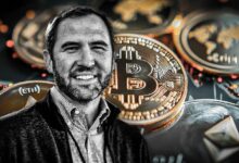 الرئيس التنفيذي لشركة ريبل متفائل بتقدم تنظيم العملات الرقمية في واشنطن - اكتشف التفاصيل!
