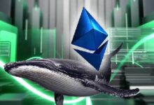 إيثريوم يجد دعمًا مؤسسيًا: هل يقترب الارتفاع إلى 3000 دولار؟ اكتشف الآن!