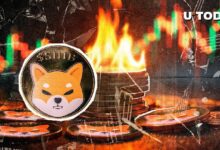 ارتفاع حرق SHIB بنسبة 567%، لكن هناك تطور مفاجئ في السعر – اكتشف التفاصيل!