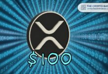 متداول يشرح لماذا قد يرتفع XRP إلى 100 دولار - اكتشف الفرصة الآن!