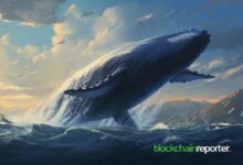 حوت يفوت 40 مليون دولار في استثمارات $ai16z و$ZEREBRO - اكتشف التفاصيل الآن!
