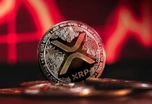 هبوط مفاجئ بنسبة 14% لعملة XRP - هل سيزداد الوضع سوءاً؟ اكتشف المزيد!
