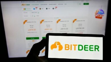 انخفاض سهم Bitdeer بنسبة 20٪ وخسارة نصف مليار بسبب تطوير ASIC - اكتشف التفاصيل!