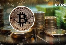 أيدي ألماس بيتكوين ترسل إشارة صاعدة - اكتشف التفاصيل!