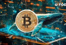 عودة حوت بيتكوين قديم مع 30 مليون دولار بعد 11 عاماً من السبات - اكتشف التفاصيل الآن!