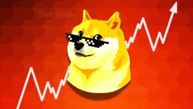 دوجكوين (DOGE) تتطلع لهبوط إلى 0.22 دولار رغم شراء الحيتان 750 مليون توكن: اكتشف التفاصيل الآن