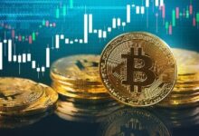 البروفيسور كوين: هل تتفوق الصناديق المشرفة على العملات الرقمية على أداء السوق؟ اكتشف الآن!