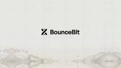 دمج BounceBit لعملات USYC مع Hashnote لتعزيز حلول CeDeFi - اكتشف التفاصيل!