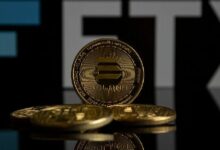 نصائح من 'بطل' دائن FTX: تجنبوا المراهنة على عملات سولانا الميمية!