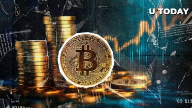 ‎‎مفاجأة بتكوين بقيمة 35 مليار دولار تهز منصات التداول في 24 ساعة - هل سيرتفع سعر BTC إلى 100,000 دولار؟ اكتشف الآن!